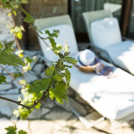 Inuit || Luxury Pool Villa, Sani Villa Kassandria